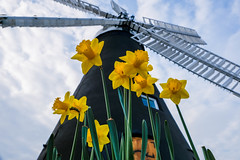 Holgate Windmill, March 2022 - 27