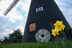 Holgate Windmill, March 2022 - 29