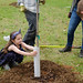 The Grove Planting 3-24-22 (24)