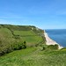 view over Branscombe Mouth from West Cliff 1