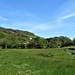 path through the meadows to Branscombe
