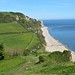 view over Branscombe Mouth from West Cliff 2