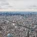 Endless Cityscape of Tokyo