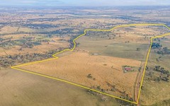 314 O'Connell Plains Road, O'Connell NSW