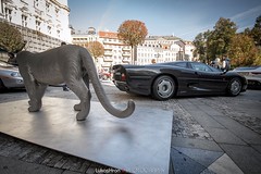 15. Concours d’Elegance Karlovy Vary - Jaguar Club Czech Republic