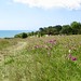 coast path along the cliffs between Kingsdown and St Margaret-at-Cliffe 2
