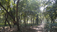 Casa Blanca Archaeological Site