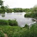 Sluice on the River Trent near Attenborough Nature Reserve