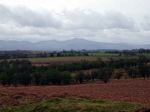 The Brecon Beacons from Mynydd Fforest
