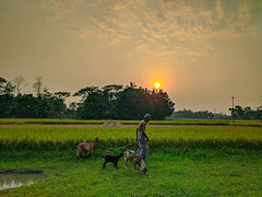 Rural Bangladesh