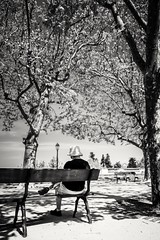 Reading under the Trees<br/>© <a href="https://flickr.com/people/79148003@N00" target="_blank" rel="nofollow">79148003@N00</a> (<a href="https://flickr.com/photo.gne?id=52031391979" target="_blank" rel="nofollow">Flickr</a>)