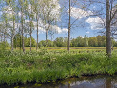 Steinse Groen - Zuid-Holland - Nederland