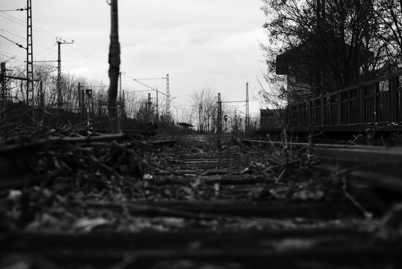old railroad tracks<br/>© <a href="https://flickr.com/people/183838653@N06" target="_blank" rel="nofollow">183838653@N06</a> (<a href="https://flickr.com/photo.gne?id=52033288156" target="_blank" rel="nofollow">Flickr</a>)