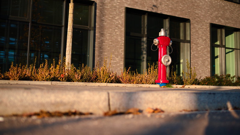 fire hydrant<br/>© <a href="https://flickr.com/people/183838653@N06" target="_blank" rel="nofollow">183838653@N06</a> (<a href="https://flickr.com/photo.gne?id=52033305876" target="_blank" rel="nofollow">Flickr</a>)