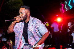 R2Bees images