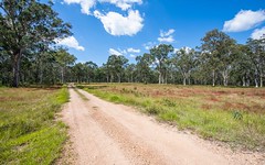 Lot 11 Jacana Lane, Coutts Crossing NSW