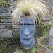 A Moai/Moa getting his head showered