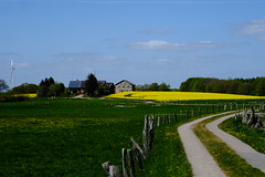 Outdoor landscape | May 03, 2022 | 24637 Schillsdorf - Plön district - Schleswig-Holstein - Germany