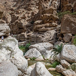 Wadi Shabi