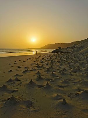 Sand Crab mounds, Socotra, Yemen