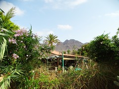 Cactus Garden-El Albercón (Gran Canaria) (Spain)