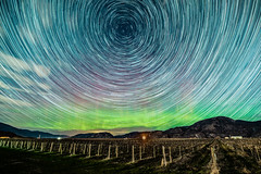 Aurora Star Trails over Okanagan Vineyard, BC, Canada