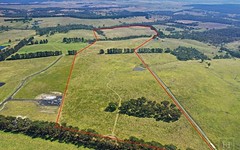 Lot 2 595 Inverary Road, Paddys River NSW