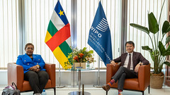 WIPO Director General Meets Minister of Arts, Culture and Tourism of the Central African Republic
