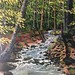 Where the Water Flows, 30" x 40" $1350