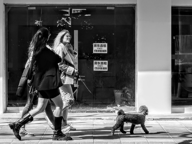 On 15 March, three Western women walked past empty street shops with their dog to a pub club. Long before the current outbreak, many shops had already been forced out of business due to the uncertainty caused by the successive cases of the epidemic.<br/>© <a href="https://flickr.com/people/193575245@N03" target="_blank" rel="nofollow">193575245@N03</a> (<a href="https://flickr.com/photo.gne?id=52077056936" target="_blank" rel="nofollow">Flickr</a>)
