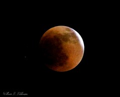May 15, 2022 - The total lunar eclipse. (Bill Hutchinson)