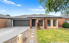 15 Harmony Place, Officer VIC