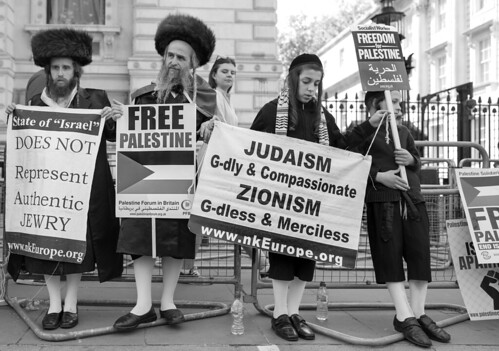 Jews Protest in Solidarity with Palestine #1, From FlickrPhotos