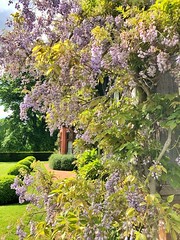 Wightwick Manor and Gardens