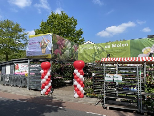 Ballonpilaar Breed Hart Moederdag Tuincentrum de Molen Rotterdam