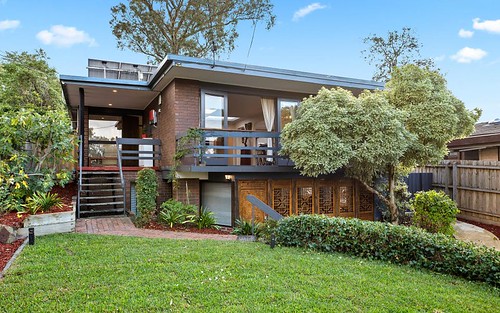 19 Cumberland Ct, Forest Hill VIC 3131