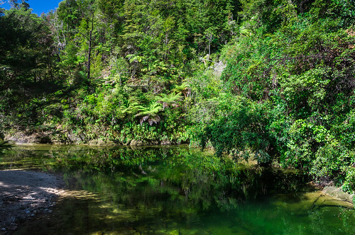 Torrent River, Abel Tasman, New Zealand
