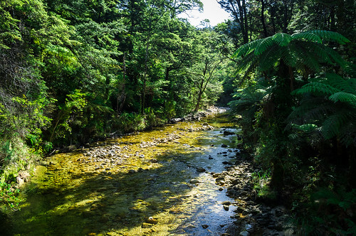 Torrent River, Abel Tasman, New Zealand