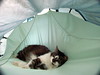 Camping Rendezvous Moto, Lunas_PICT0494.01
