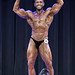 Bodybuilding Masters  Overall Farzad Ghotbi