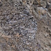 Vesicular basalt & amygdaloidal basalt (Lower Eocene, 50-56 Ma; Brown's Hill Quarry, near North Pole, Alaska, USA) 1