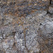 Amygdaloidal basalt & vesicular basalt (Lower Eocene, 50-56 Ma; Brown's Hill Quarry, near North Pole, Alaska, USA) 2