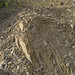 Structurally-overturned limestones (Devonian; Elliott Highway roadcut, near Livengood, Alaska, USA) 1