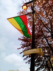 Lithuanian Flag On Benjamin Franklin Parkway, Philadelphia