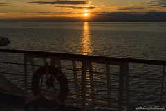 Zaandam, Coucher de soleil en mer, sunset at sea, Canada - 09391