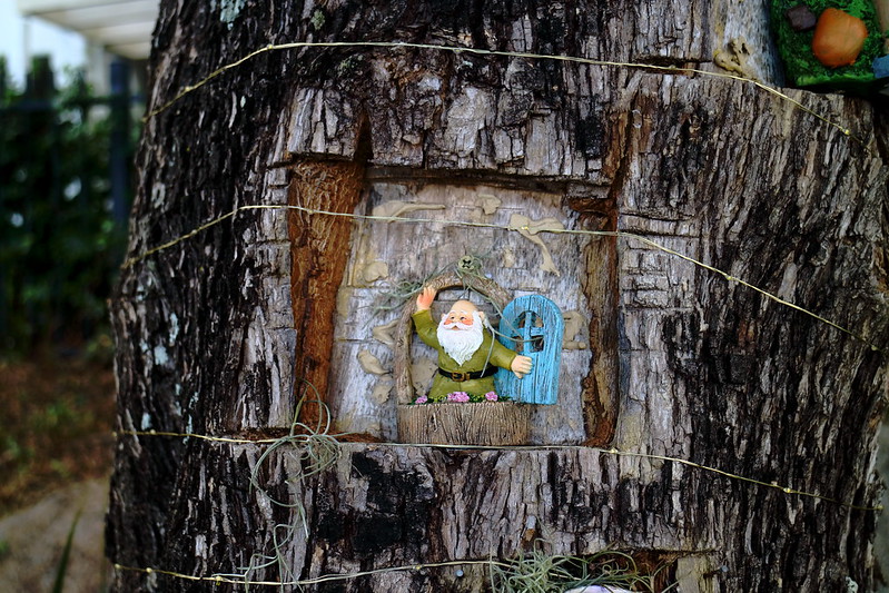Tiny Dwarf In A Tree<br/>© <a href="https://flickr.com/people/32512570@N06" target="_blank" rel="nofollow">32512570@N06</a> (<a href="https://flickr.com/photo.gne?id=52121617210" target="_blank" rel="nofollow">Flickr</a>)