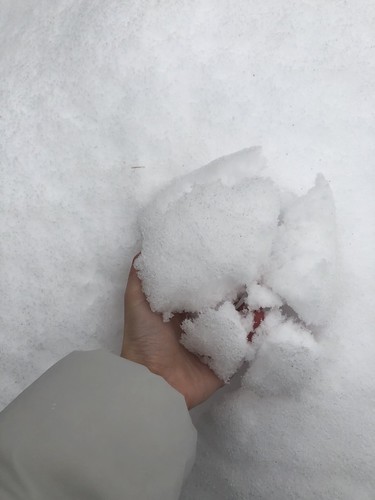 積滿厚厚的雪