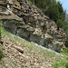 Ordovician-Silurian unconformity section (Dunkinsville Southwest roadcut, Ohio, USA) 5