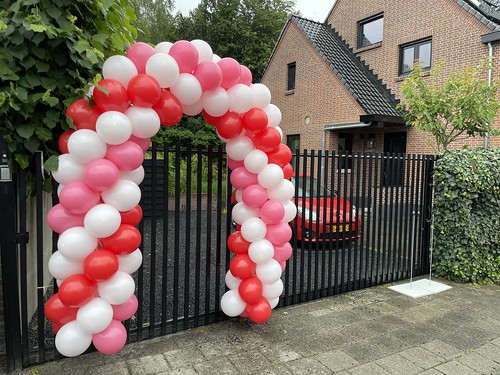 Ballonboog 5m Rotterdam Hillegersberg