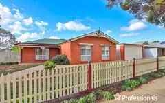 46 Belleview Drive, Irymple VIC